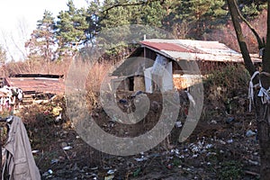 Very poor gypsy house in Slovakia