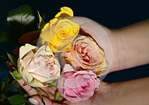 The very pretty colorful glowing roses in the hand