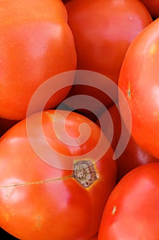 Very Red Tomatoes