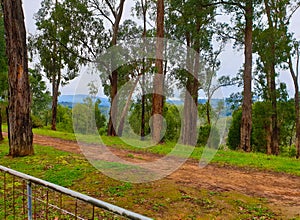 A very secluded section of the Dandenong Ranges in Melbourne, Australia