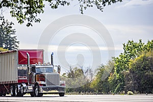 Very shiny red old style powerful big rig semi truck with polished chrome accessories transporting cargo in bulk semi trailer with