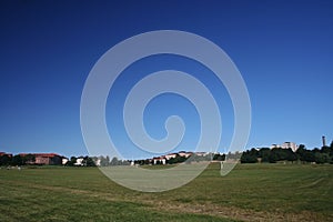 Very simple game field covered with yellowish grass