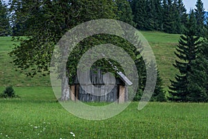 Very small old wooden cottage hut house in pristine nature