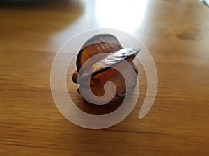 A Very Small Starfuit