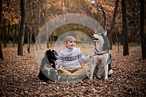 Walking the dogs in the autumn park