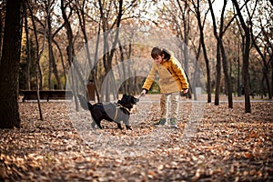 Walking the small black dog in the autumn park