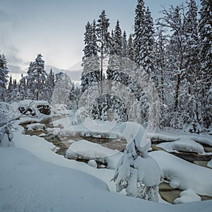 Very snowy winter time in north Norway. Forest river in the mountains. Geitfjellet near Heia, Grong area