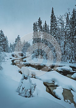 Very snowy winter time in north Norway. Forest river in the mountains. Geitfjellet near Heia, Grong area