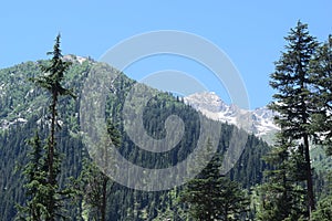 A very special landscpe scene of dense forest, mountains and ice filled mountains at kumrat valley, KP Pakistan