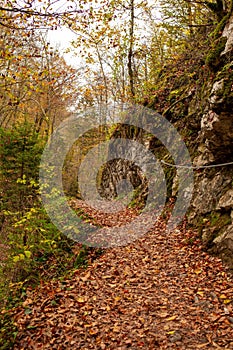 a very steep path between some trees and rocks near the mountains