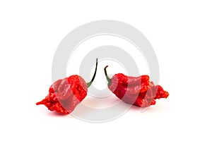 very strongly hot pepper Carolina Reaper