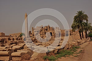 Very well preserved obelisk and inscriptions in Egypt