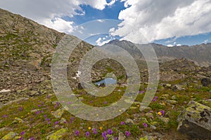 VerÃ§enik, which is the most difficult peak of the KaÃ§kar Mountains