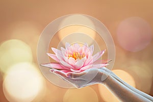 Vesak day, Buddhist lent day, Buddha`s birthday worshiping concept with woman`s hands holding water lilly or lotus flower