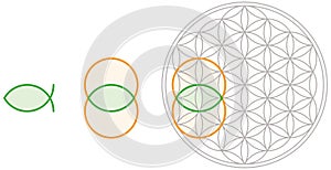 Vesica Piscis in Flower of Life photo