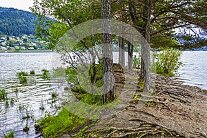 VesleÃ¸ye island nature in town Fagernes Fylke Innlandet Norway