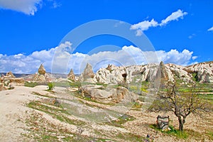 Vesna v gorakh Kappadokii.25/5000Spring in the mountains of Cappadocia
