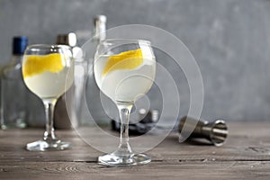 Vesper Martini Cocktail photo