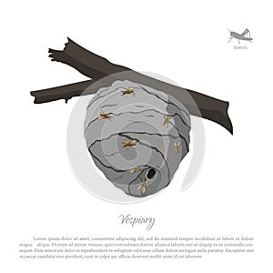 Vespiary drawing. Wasp hive on a branch. Residence flying insect