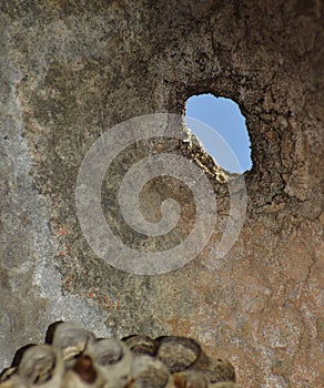 Vespiary. Wasps . A hole in the roof to enter the socket