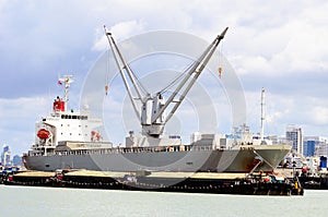 Vessel bulk cargo with crane and lighter
