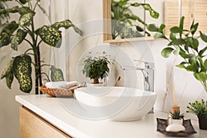 Vessel sink and green plants in bathroom. Interior design