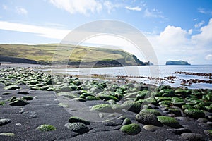 Vestmannaeyjar island beach day view, Iceland landscape. Alsey island