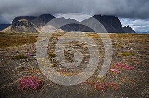 Vestrahorn mountain on Stokksnes in Iceland