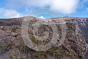 vesuv mountain crater view, neapel, italy