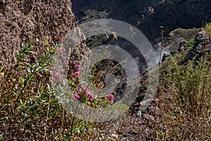 vesuv mountain crater view, neapel, italy