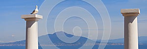 Vesuvius panorama from Sorento with columns and seagull