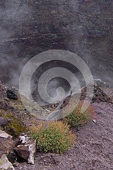 Vesuvius volcano crater photo