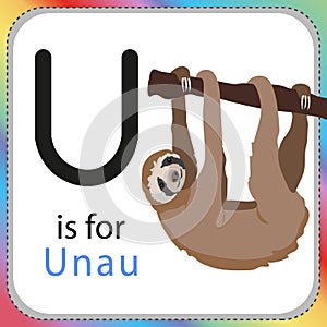Alphabet Flashcards for Kids - Learning U is for Unau