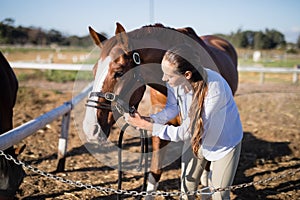Vet adjusting horse bridle at barn during sunny day