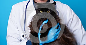 Vet with black cat in his arms nd