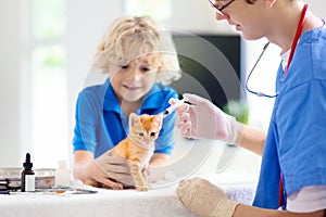 Vet with cat. Kitten at veterinarian doctor