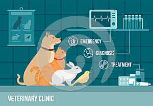 Vet clinic banner