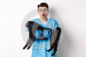 Vet clinic concept. Amazed male doctor veterinarian holding cute black pug dog, smiling and staring up impressed