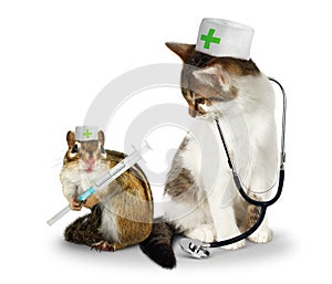Vet concept, funny doctor chipmunk and cat with phonendoscope a photo