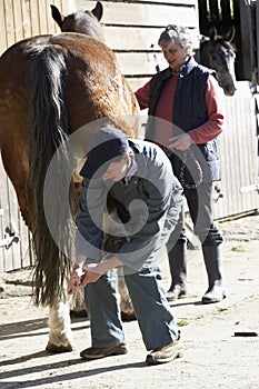 Vet In Discussion With Horse Owner