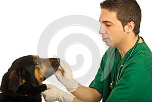 Vet doctor with dog