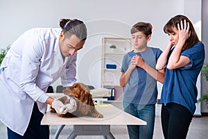 Vet doctor examining golden retriever dog in clinic