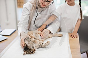 Vet doctor putting stethoscope on cats belly near tween kid