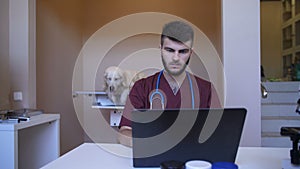 Vet doctor using laptop to prescribe medication