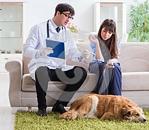 Vet doctor visiting golden retriever dog at home