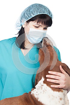 Vet and dog