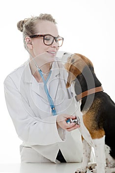 Vet with dog