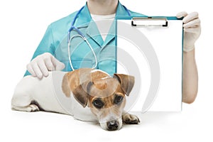 Vet and Dog with banner