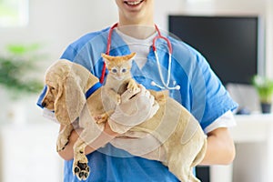 Vet with dog and cat. Puppy and kitten at doctor