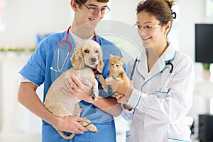 Vet with dog and cat. Puppy and kitten at doctor